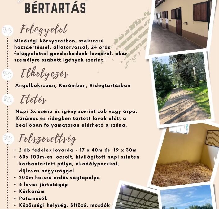 Van még szabad boxunk!