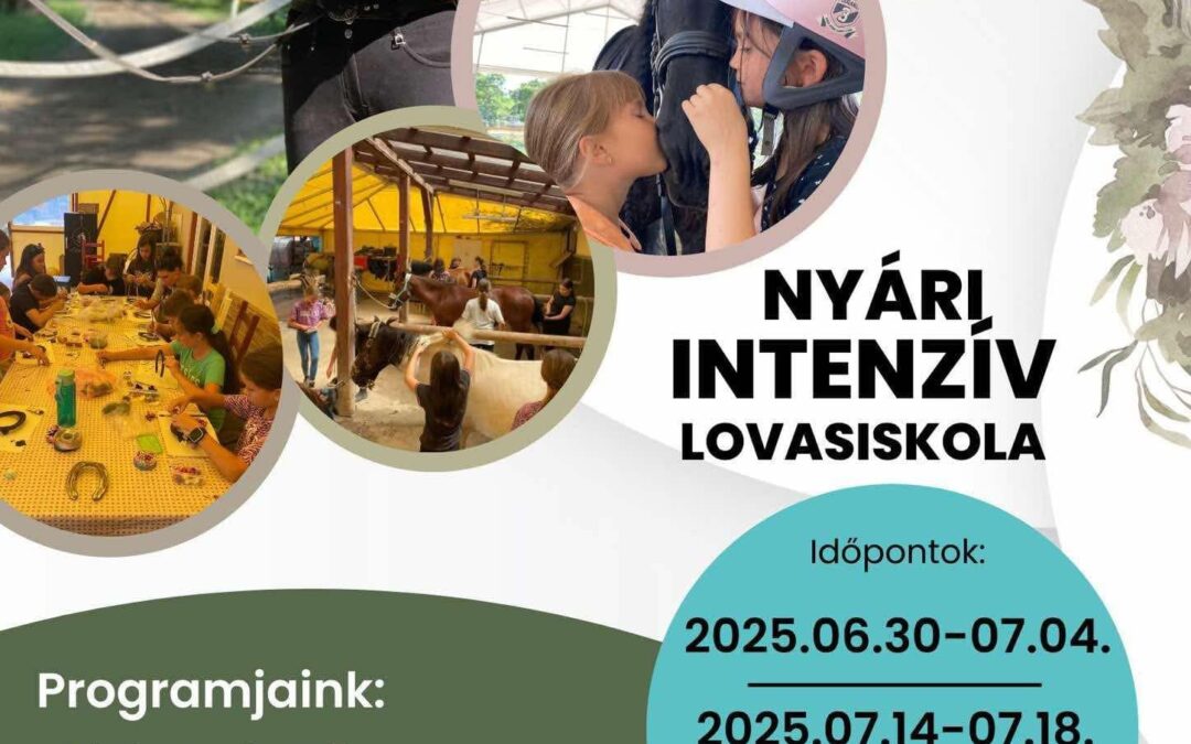 Nyári táborok